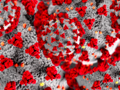 Spanish Flu wasn’t deadly until it mutated… can the coronavirus mutate too? coronavirus mutate