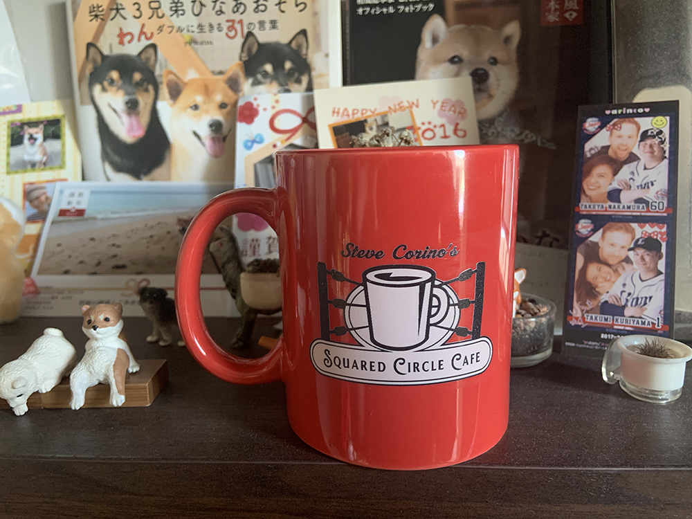 Steve Corino’s Squared Circle Café 2