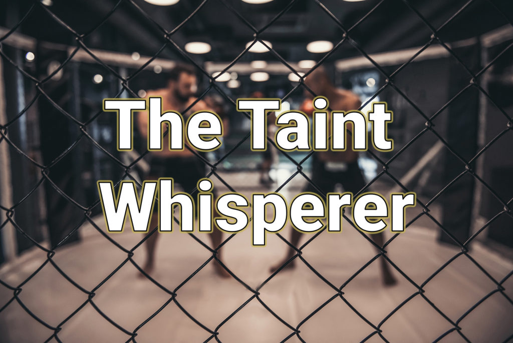 ridiculous UFC nicknames taint