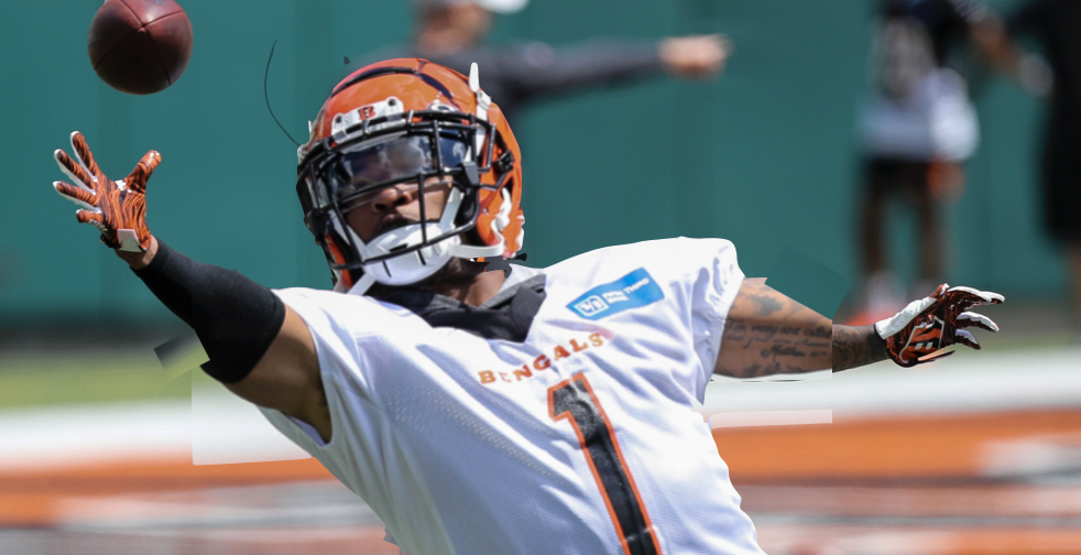 Ja'Marr Chase short arms