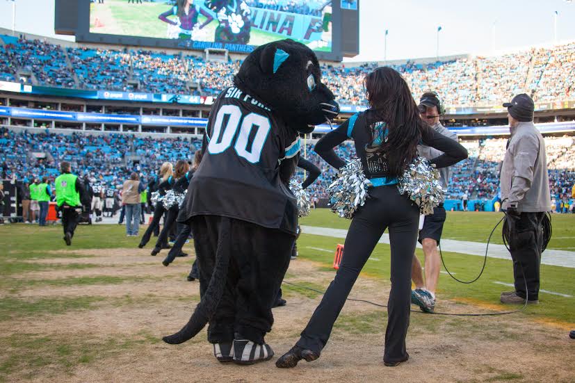 Sir Purr Carolina Panthers mascot punt