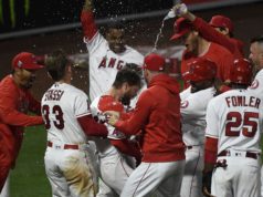 Why not? Bet on the Los Angeles Angels to win the American League at +1500 bet Los Angeles Angels win American League