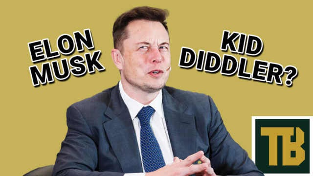 Elon Musk Voting Republican