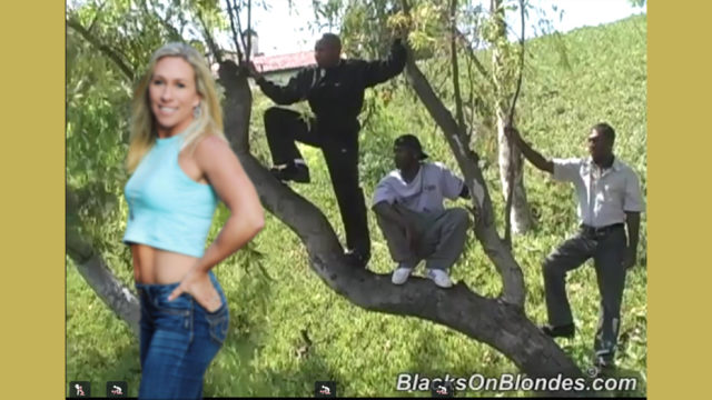 How does Marjorie Taylor Greene fund her campaign