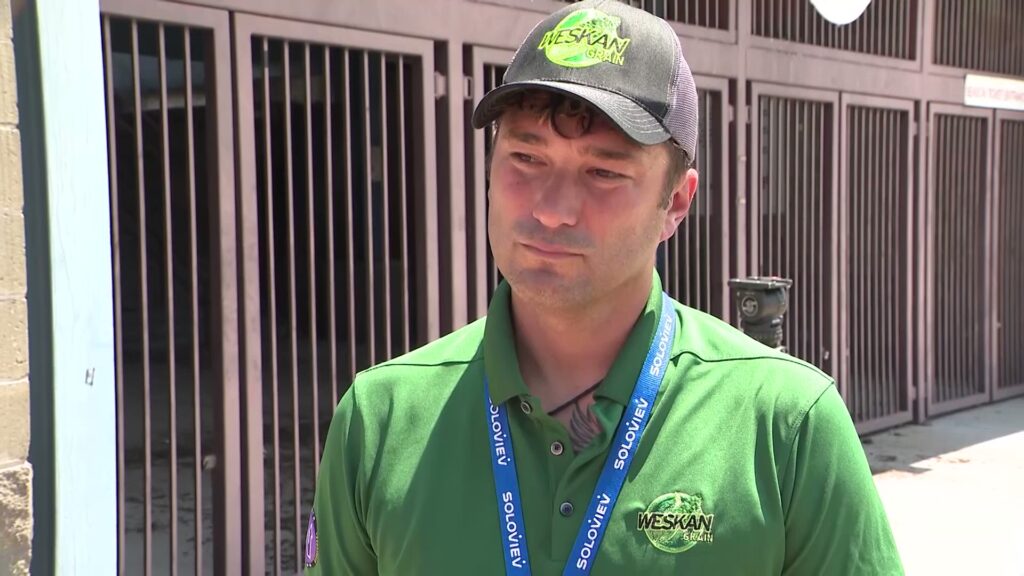 Stefan Soloviev billionaire save minor league baseball stadium